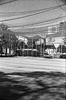 Olympus Wide Super