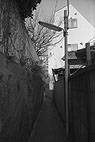 Olympus Wide Super
