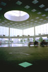 XA-4 Zuiko 28mmF3.5